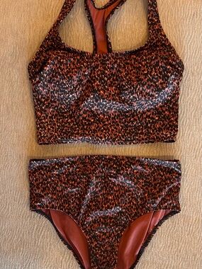 Target Women's Brown and Black Animal Print Bikini Set